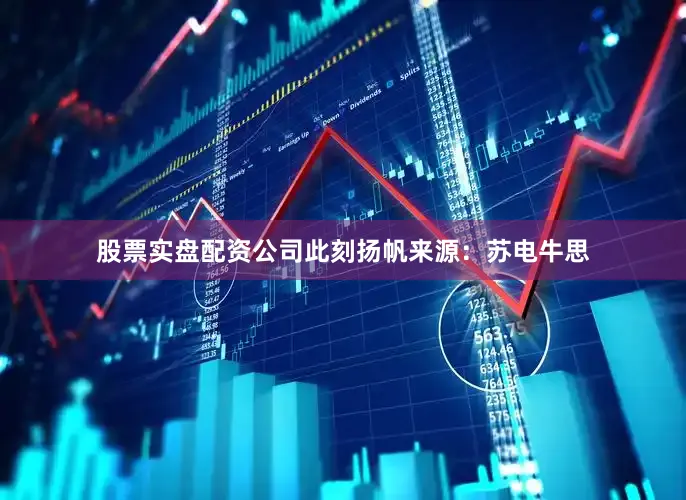 股票实盘配资公司此刻扬帆来源：苏电牛思