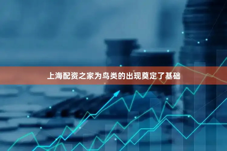 上海配资之家为鸟类的出现奠定了基础