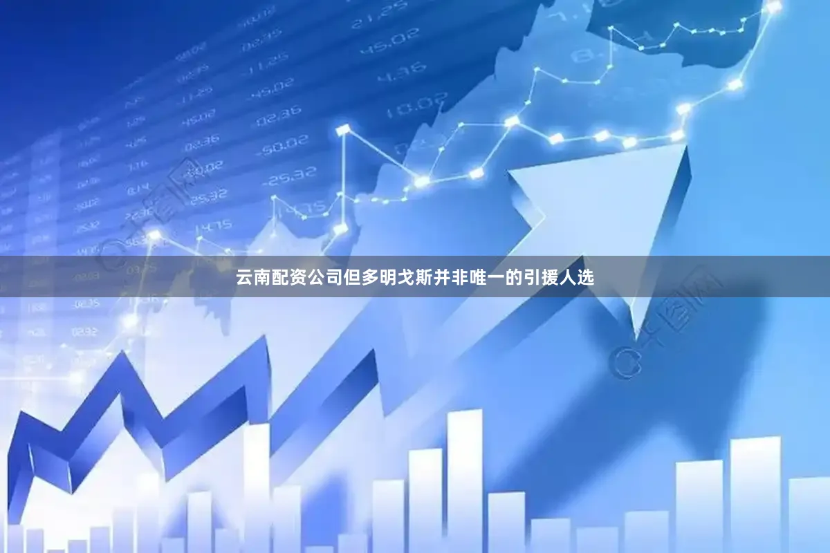云南配资公司但多明戈斯并非唯一的引援人选